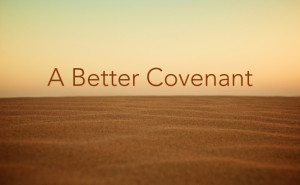 better covenant
