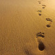 footprints