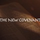 The-New-Covenant-659x345